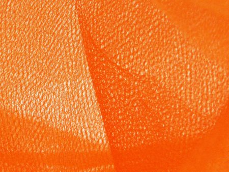 Crinoline - Orange For Discount