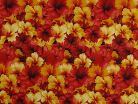 Digital Printed Cotton - FLOWER FIELDS - 009 - Red For Cheap