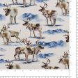 3 Wishes Fabrics - Printed Cotton - HERE COMES SANTA - 005 - White Fashion