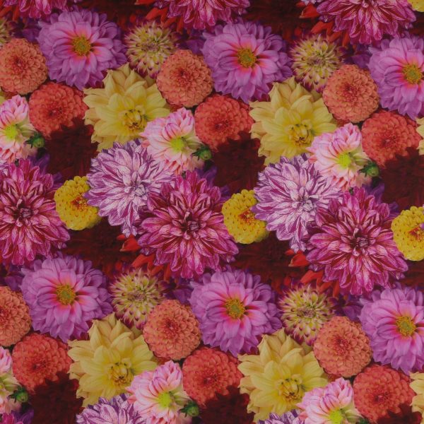 Digital Printed Cotton - FLOWER FIELDS - 007 - Fuschia Hot on Sale