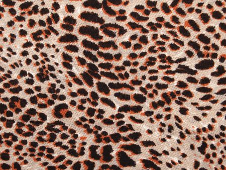 ANIMAL SKIN Printed Knit - Tiger - Orange Online