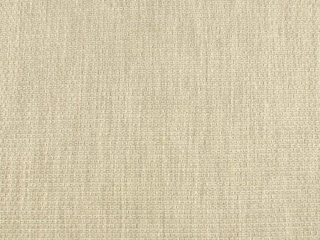 Home Decor Fabric - High Performance - Louis - Natural Online now