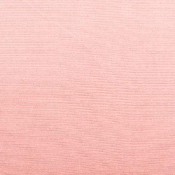 Corduroy Knit - JAMES - 011 - Blush For Sale