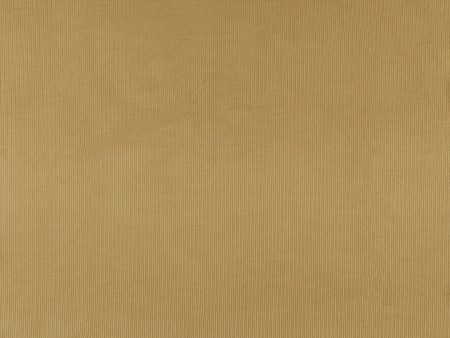 Corduroy - CRAYON - 008 - Tan Fashion