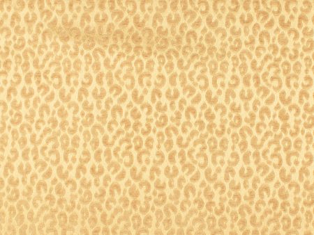 Home Decor Fabric - Global Chic - Tanzia - Oro Online now