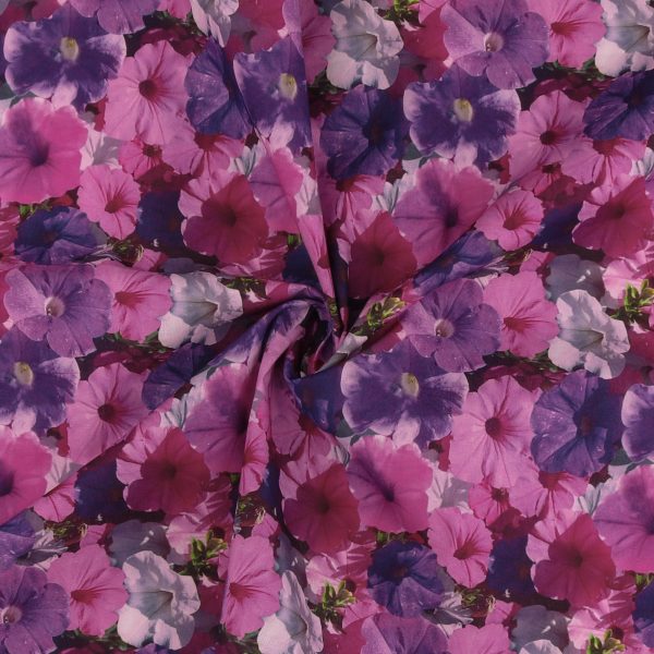 Digital Printed Cotton - FLOWER FIELDS - 001 - Fuschia Supply