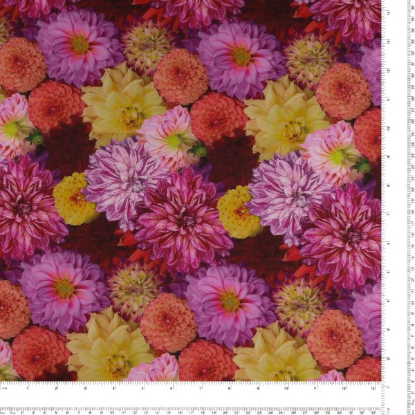 Digital Printed Cotton - FLOWER FIELDS - 007 - Fuschia Hot on Sale