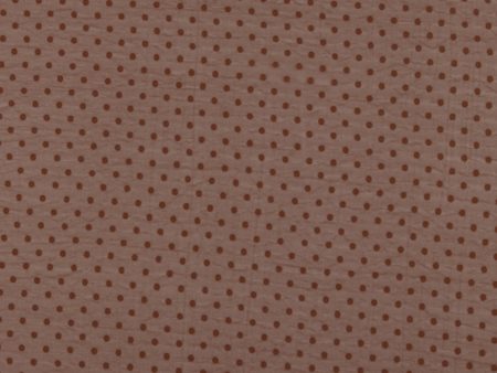 Chiffon with Dot - ROSY - Brown Fashion